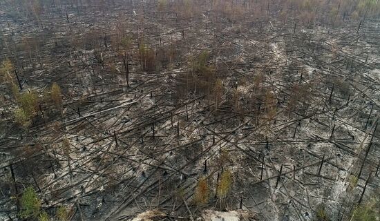 Russia Wildfires