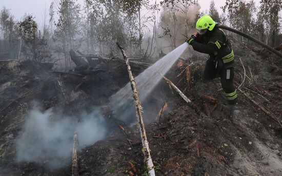 Russia Wildfires
