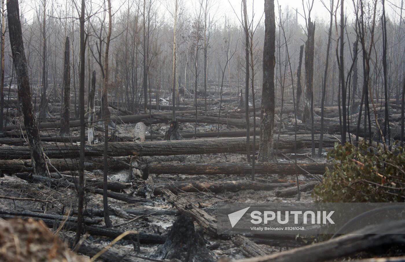 Russia Wildfires