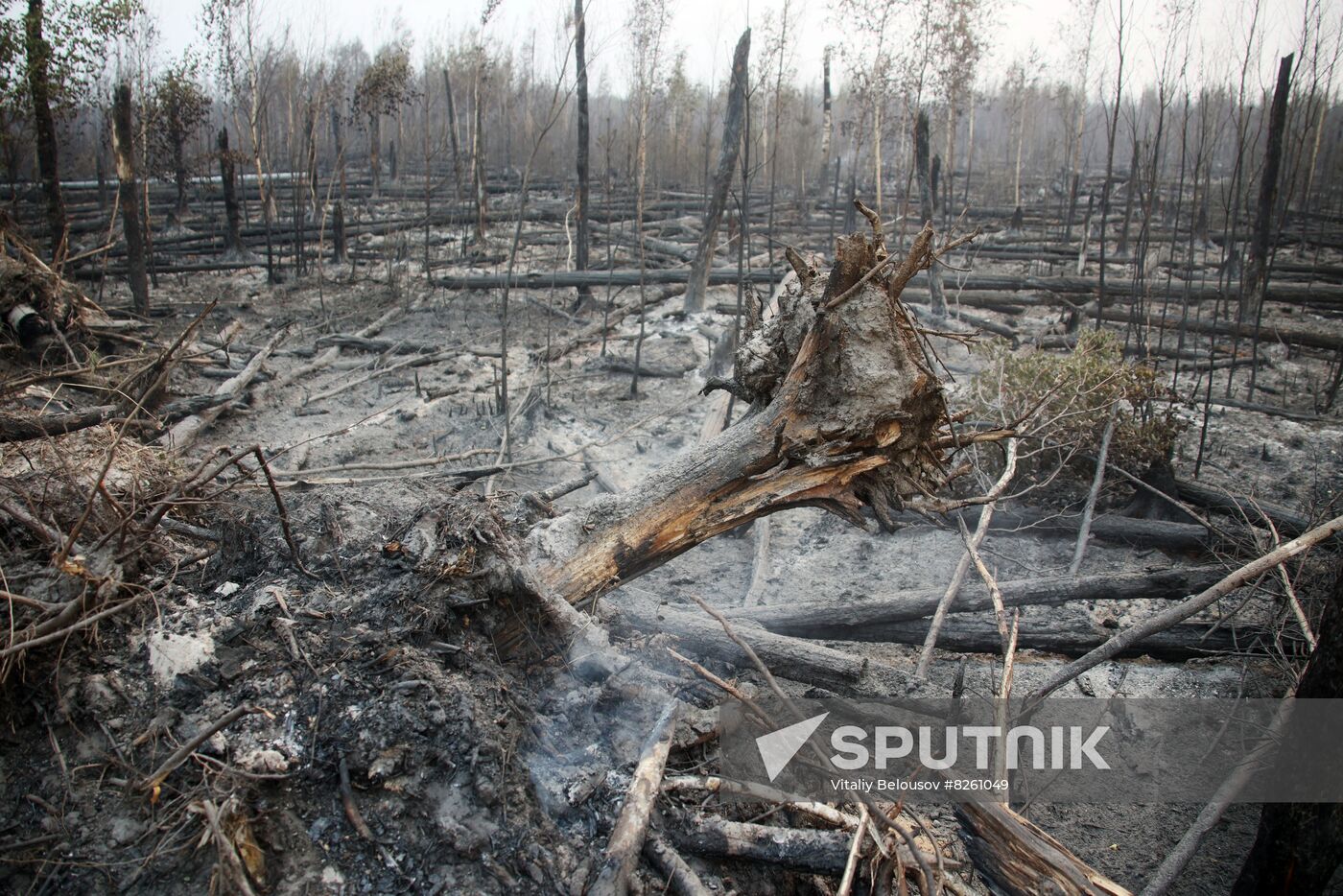 Russia Wildfires