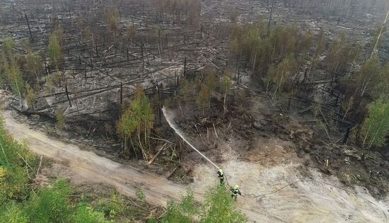 Russia Wildfires