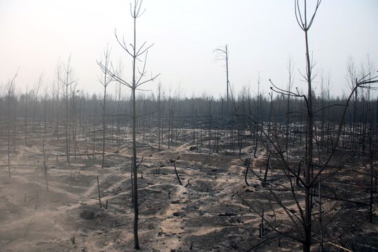 Russia Wildfires