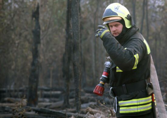Russia Wildfires