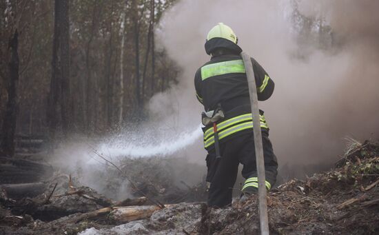 Russia Wildfires