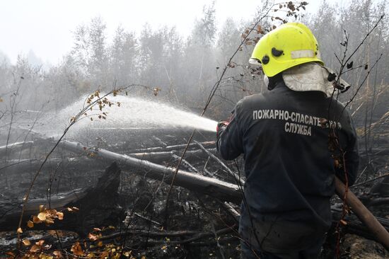Russia Wildfires
