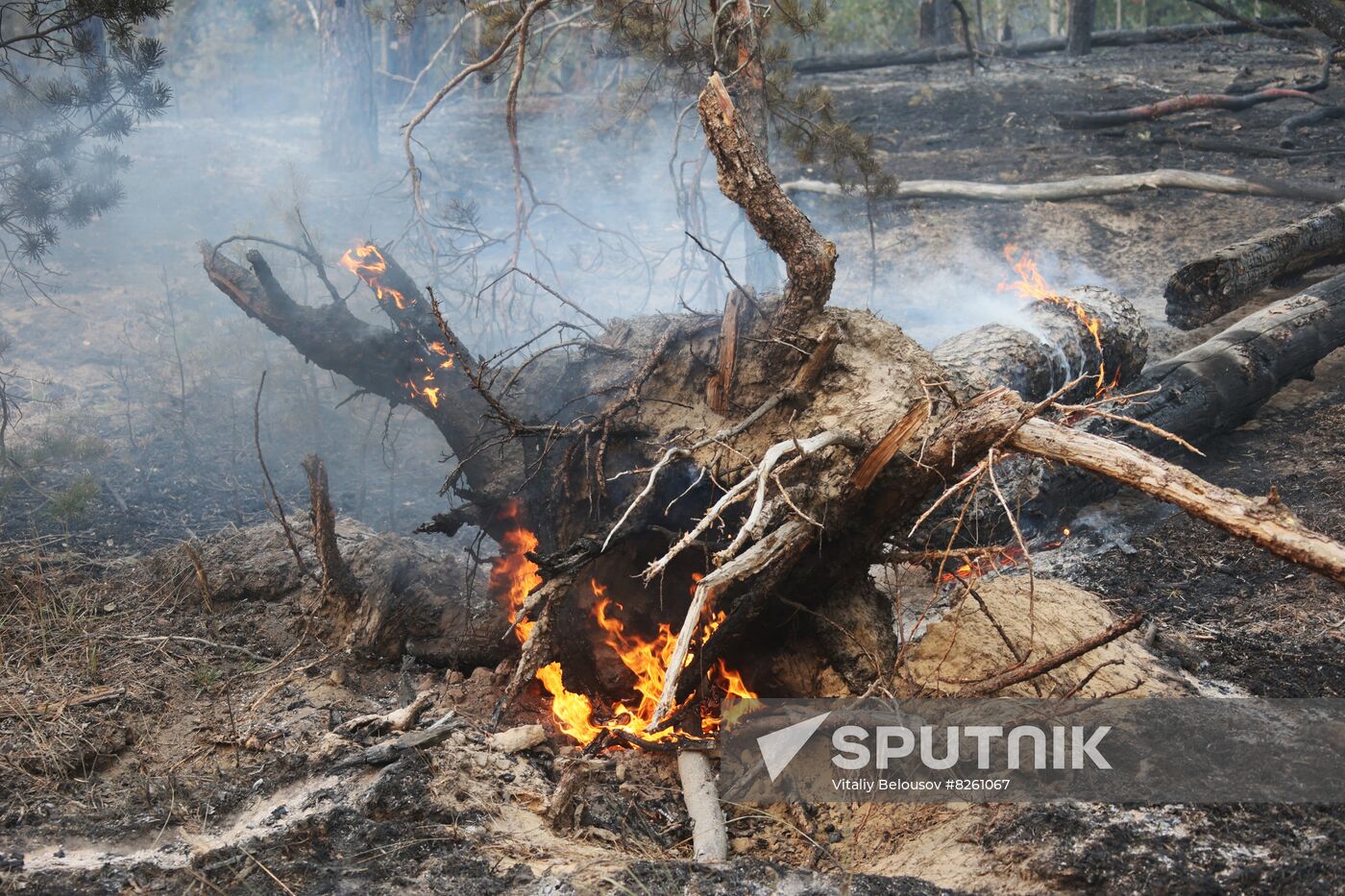 Russia Wildfires