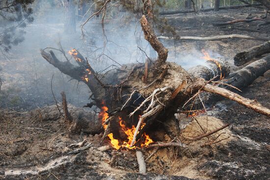 Russia Wildfires