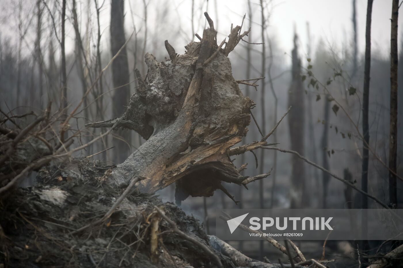 Russia Wildfires