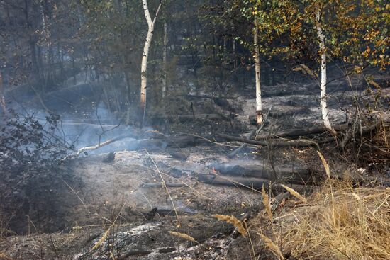 Russia Wildfires