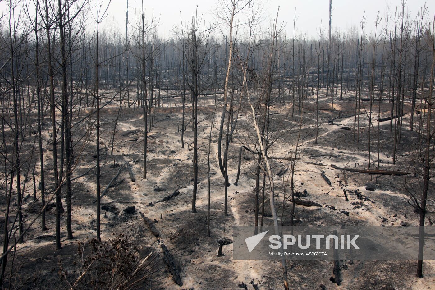 Russia Wildfires
