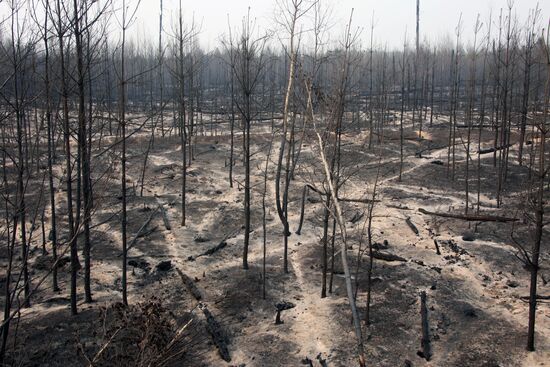 Russia Wildfires