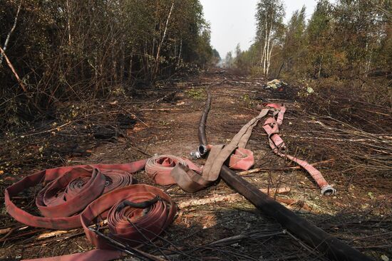 Russia Wildfires
