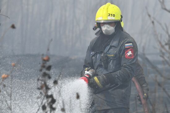 Russia Wildfires