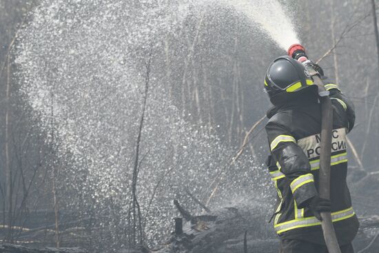 Russia Wildfires