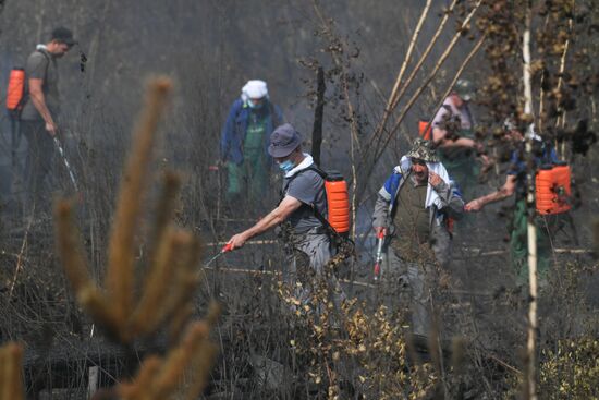 Russia Wildfires