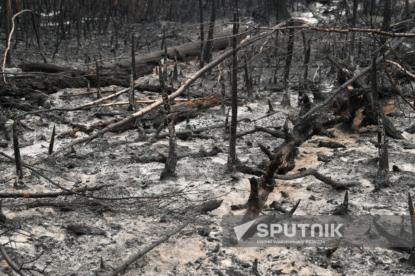 Russia Wildfires