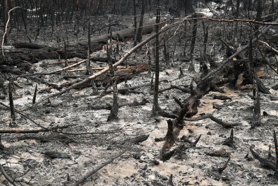 Russia Wildfires