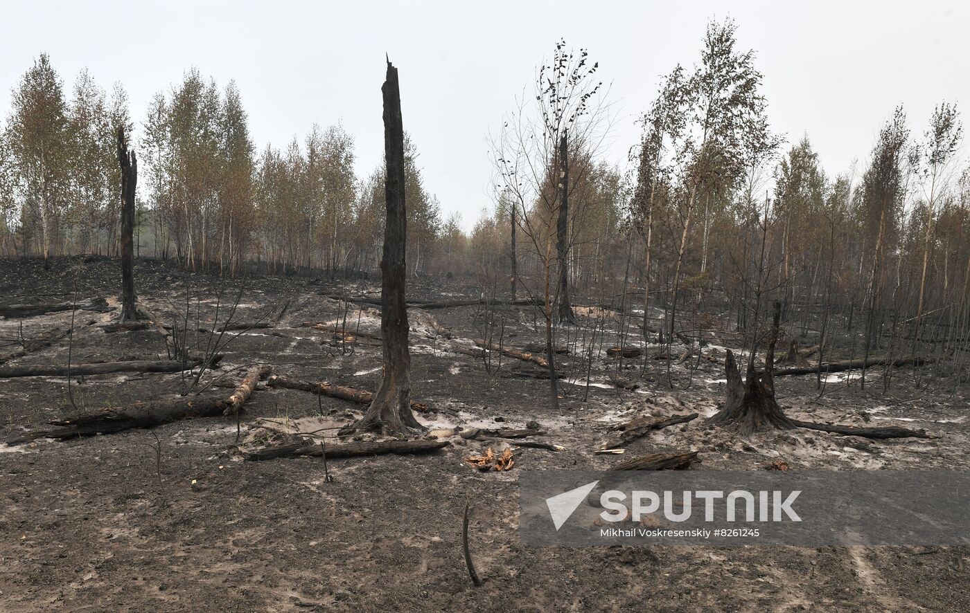 Russia Wildfires