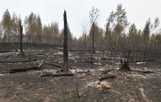 Russia Wildfires