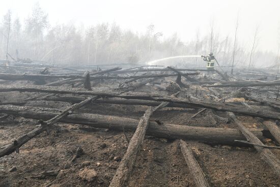 Russia Wildfires
