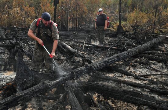 Russia Wildfires