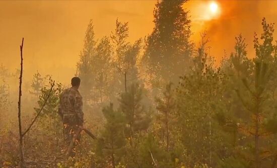 Russia Wildfires