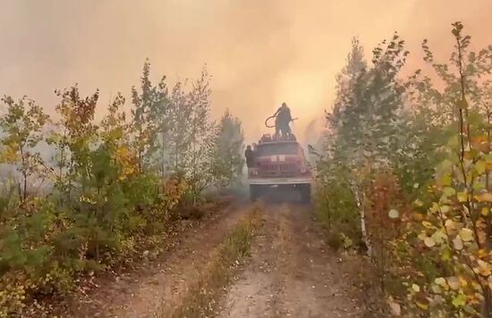 Russia Wildfires