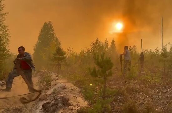 Russia Wildfires