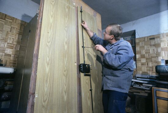 Highly secure Bison door lock