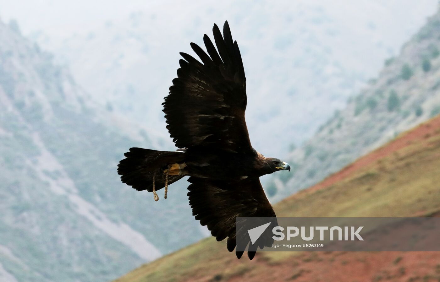Kyrgyzstan Traditional Hunting Festival