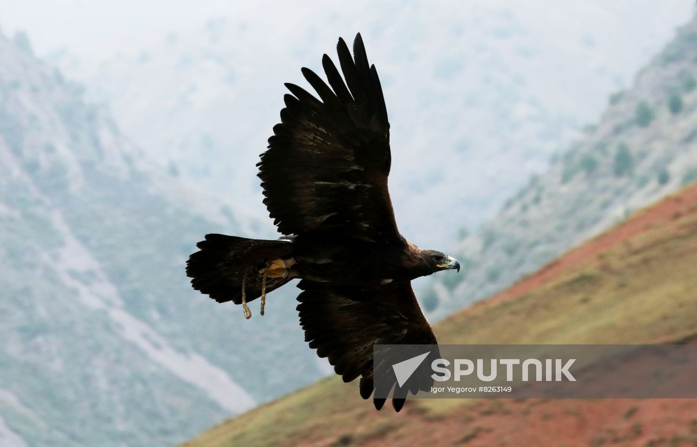 Kyrgyzstan Traditional Hunting Festival