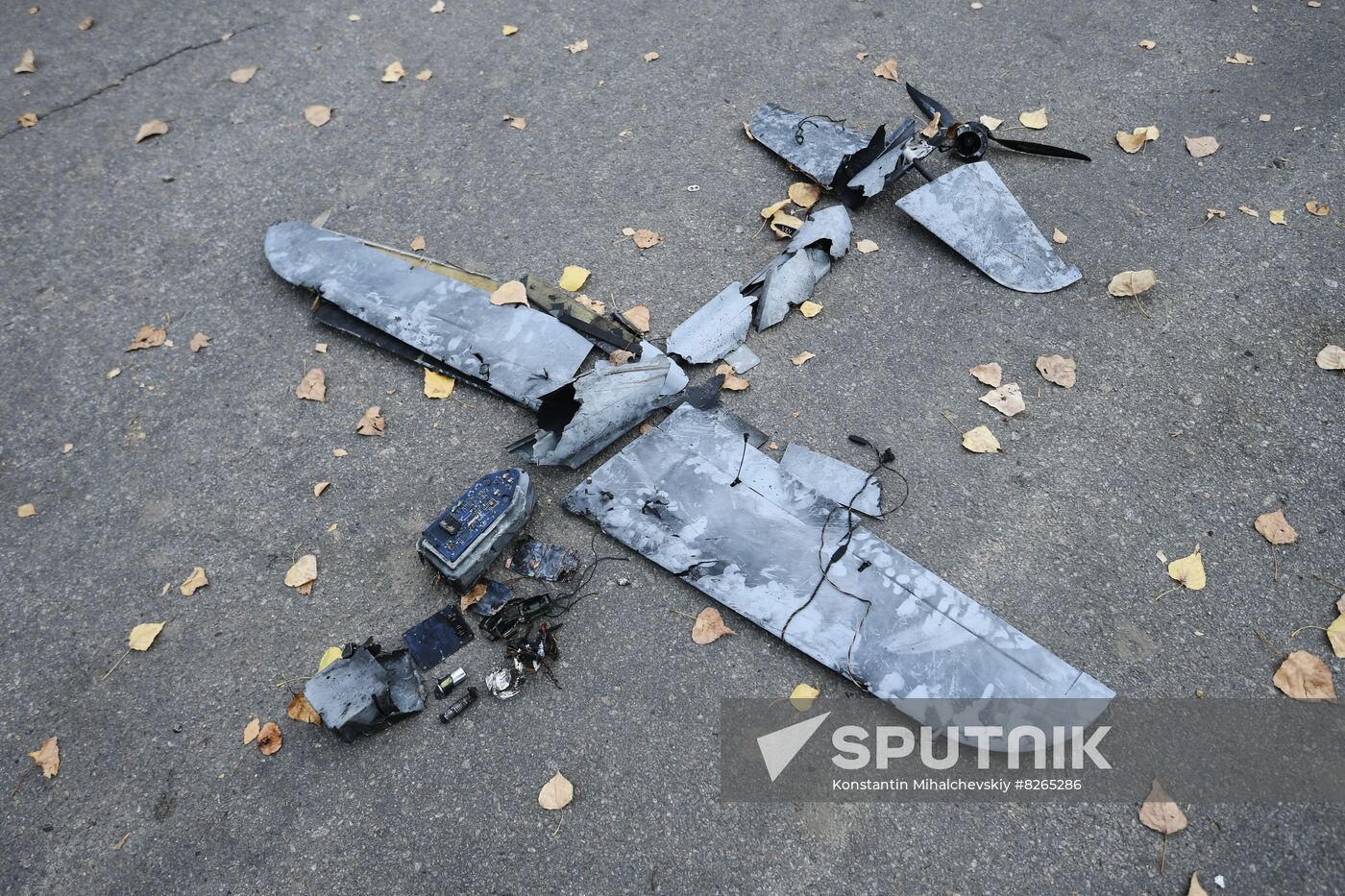 Ukraine Russia Military Operation Nuclear Plant