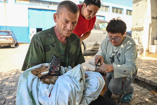 DPR Russia Ukraine Military Operation Pet Shelter