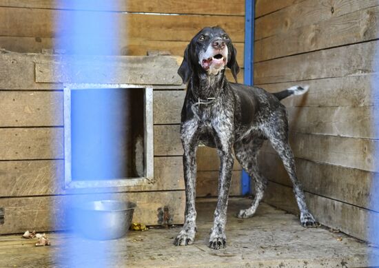 DPR Russia Ukraine Military Operation Pet Shelter