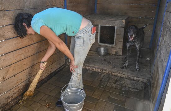 DPR Russia Ukraine Military Operation Pet Shelter