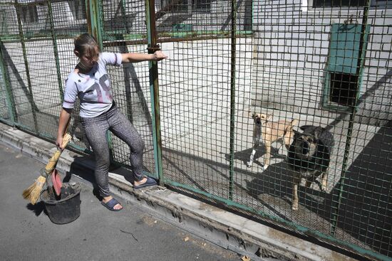 DPR Russia Ukraine Military Operation Pet Shelter