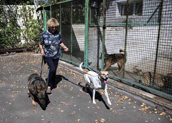 DPR Russia Ukraine Military Operation Pet Shelter