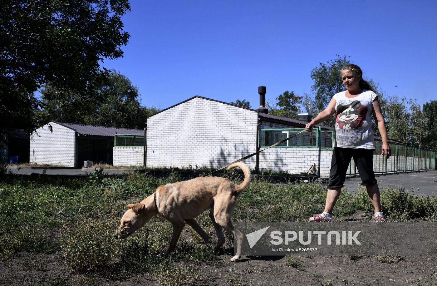 DPR Russia Ukraine Military Operation Pet Shelter