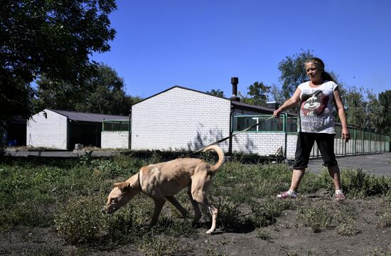 DPR Russia Ukraine Military Operation Pet Shelter