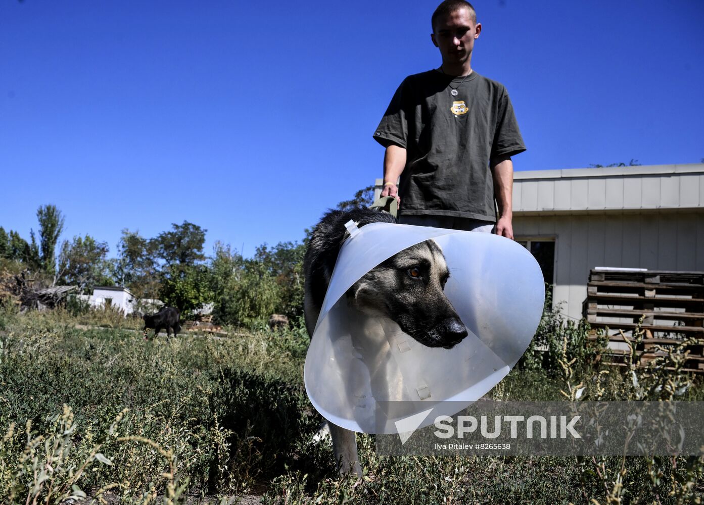 DPR Russia Ukraine Military Operation Pet Shelter