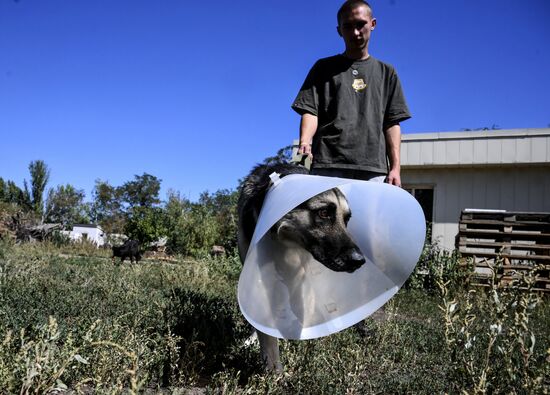 DPR Russia Ukraine Military Operation Pet Shelter