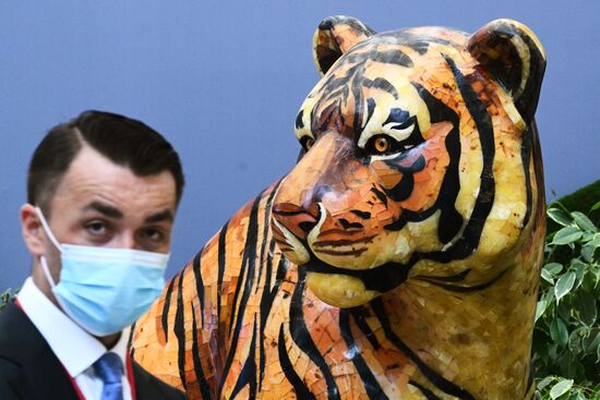 Russia EEF Sidelines