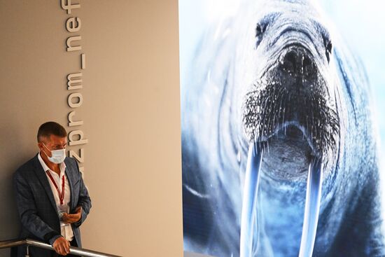 Russia EEF Sidelines