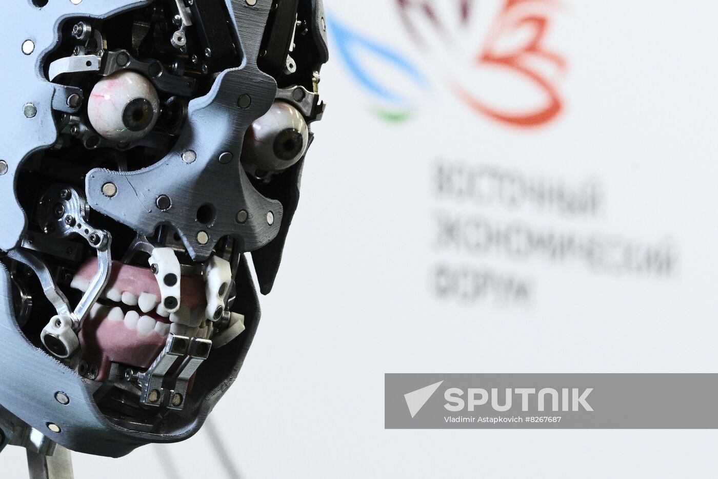Russia EEF Sidelines