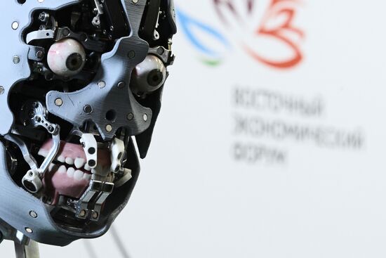 Russia EEF Sidelines