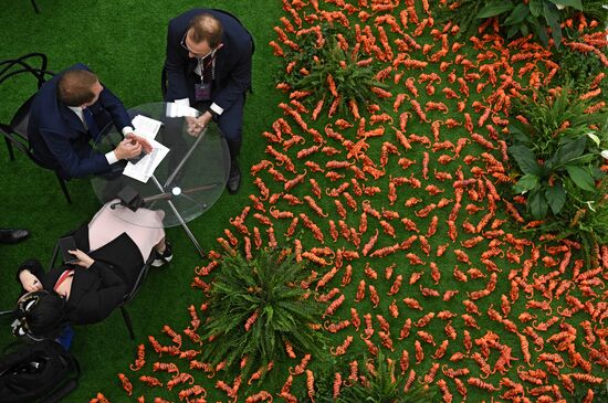 Russia EEF Sidelines