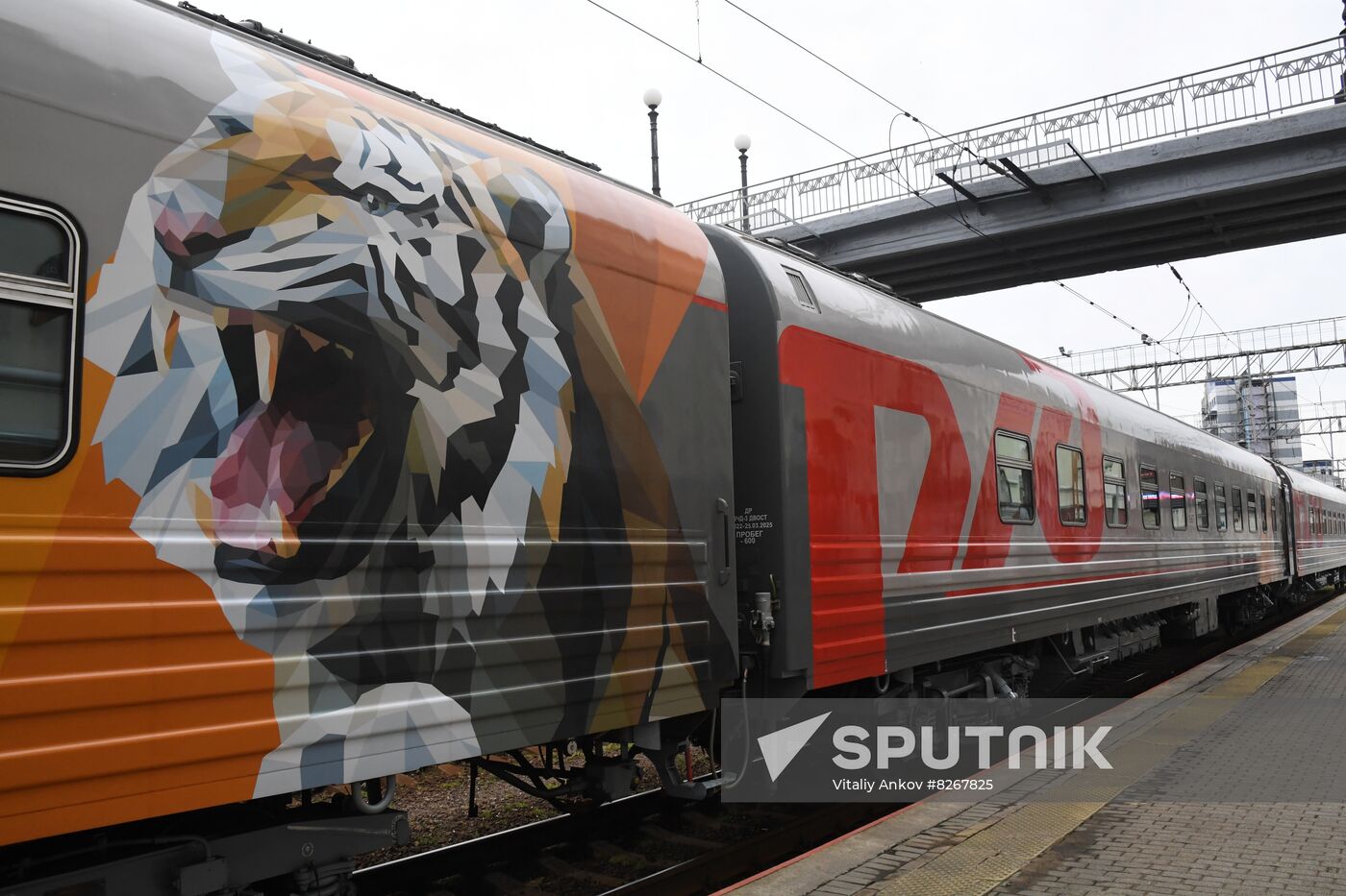 Russia EEF Sidelines