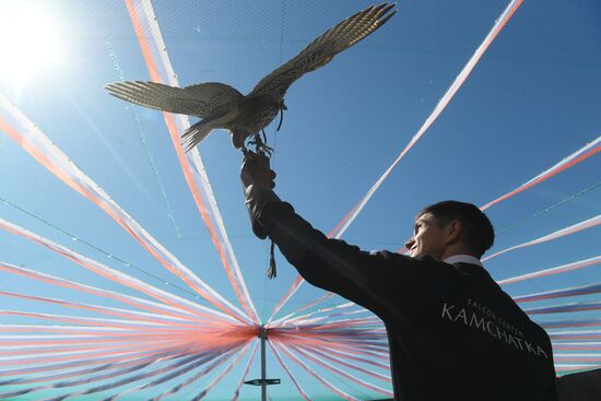 Russia Falcon Centre