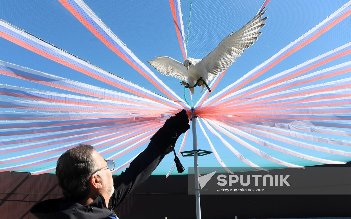 Russia Falcon Centre