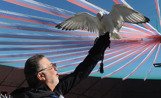 Russia Falcon Centre